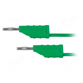Test lead | 70VDC | 33VAC | 10A | banana plug 2mm,both sides | green