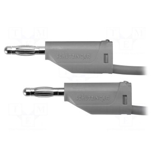 Test lead | 70VDC | 33VAC | 16A | banana plug 4mm,both sides | grey