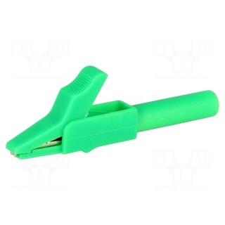 Crocodile clip | 15A | green | Grip capac: max.12mm | Socket size: 4mm