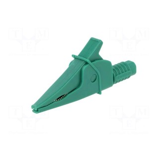 Crocodile clip | 20A | green | max.39mm | 1kV | Connection: 4mm socket