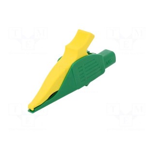 Crocodile clip | 32A | 1kVDC | yellow-green | Grip capac: max.30mm