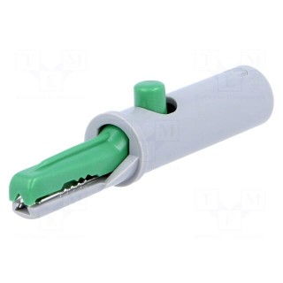 Crocodile clip | 6A | 60VDC | green | Grip capac: max.7.5mm