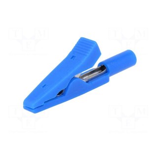 Crocodile clip | 10A | 60VDC | blue | Overall len: 41.5mm