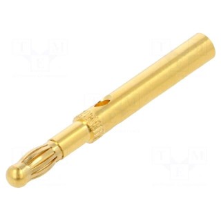 Plug | 4mm banana | 19A,32A | gold-plated