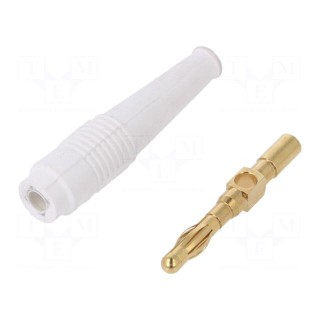 Plug | 4mm banana | 32A | white | non-insulated | 2.5mm2 | gold-plated