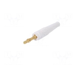 Plug | 4mm banana | 32A | white | non-insulated | 2.5mm2 | gold-plated