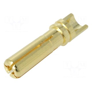 Plug | 4mm banana | 36A | non-insulated | Contacts: brass gold plated