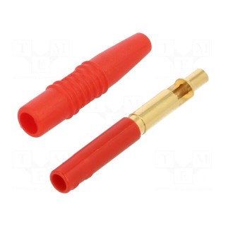 Socket | 4mm banana | 19A | 300V | red | insulated | 1mm2 | gold-plated