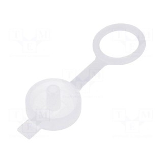 Transparent | Accessories: socket cover | IP65