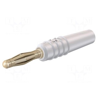Plug | 2mm banana | 10A | 30VAC | 60VDC | white | gold-plated | 0.5mm2