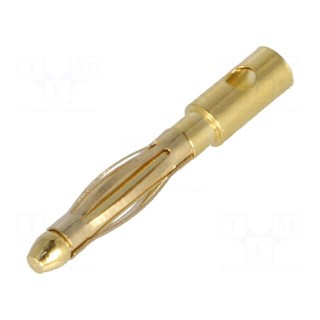 Plug | 2mm banana | 15A | Contacts: brass gold plated | 18AWG | 1.5mΩ
