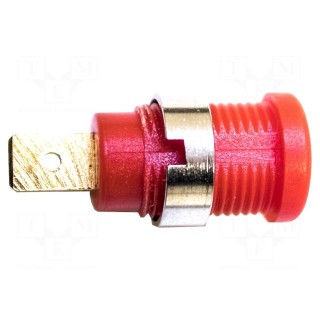 4mm banana | 36A | 1kV | red | gold-plated | soldered | Insulation: nylon