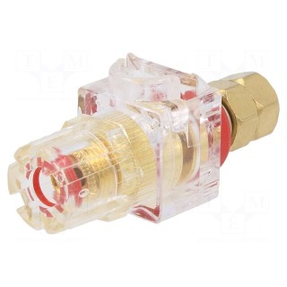 Socket | 3mm banana | 60A | 54.5mm | red,transparent | gold-plated