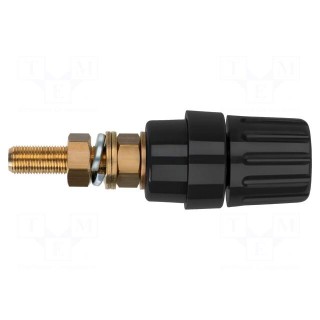 Socket | 4mm banana | 100A | black | on panel,screw | insulated | 81mm