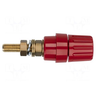 Socket | 4mm banana | 100A | red | on panel,screw | insulated | 81mm