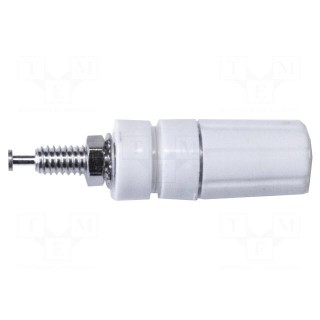 Socket | 4mm banana | 15A | 2.5kV | white | nickel plated | on panel