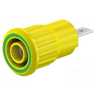 Socket | 4mm banana | 24A | 1kV | Cutout: Ø12.2mm | yellow-green