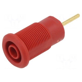 Socket | 4mm banana | 24A | 1kV | red | gold-plated | on panel