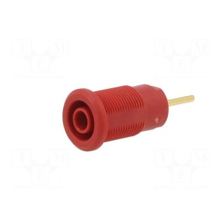 Socket | 4mm banana | 24A | 1kV | red | gold-plated | on panel