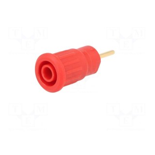 Socket | 4mm banana | 24A | 1kV | red | gold-plated | on panel | insulated