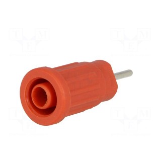 Socket | 4mm banana | 24A | 1kV | red | nickel plated | on panel,push-in