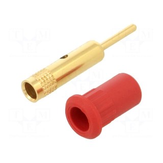 Socket | 4mm banana | 25A | 30VAC | 60VDC | red | gold-plated | on panel