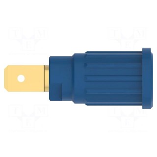 Socket | 4mm banana | 32A | 1kV | blue | gold-plated | on panel,push-in