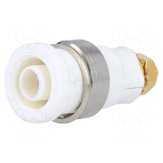 Socket | 4mm banana | 32A | white | gold-plated | screw,on panel | 32mm