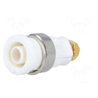Socket | 4mm banana | 32A | white | gold-plated | screw,on panel | 32mm