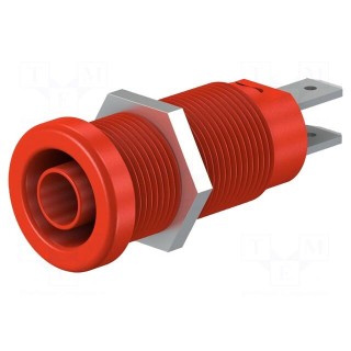 Socket | 4mm banana | 37mm | red | nickel plated | screw,on panel | 20A