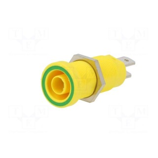 Socket | 4mm banana | 37mm | yellow-green | nickel plated | brass | 20A