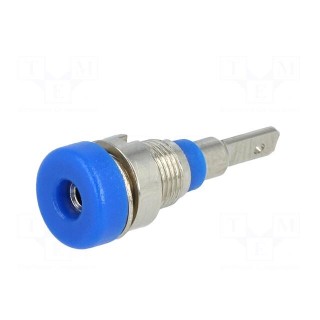 Socket | 2mm banana | 10A | 23mm | blue | on panel,screw | insulated
