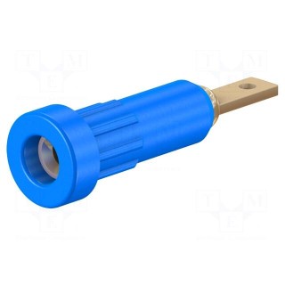 Socket | 2mm banana | 10A | 23mm | blue | Mounting: soldered,on panel