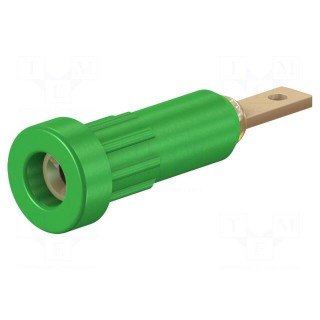 Socket | 2mm banana | 10A | Overall len: 23mm | green | insulated | 60VDC