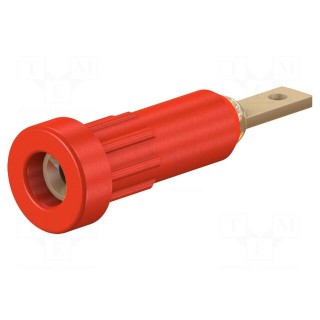 Socket | 2mm banana | 10A | 23mm | red | Mounting: soldered,on panel