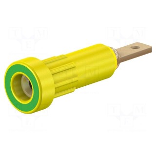 Socket | 2mm banana | 10A | Overall len: 23mm | yellow-green | 60VDC