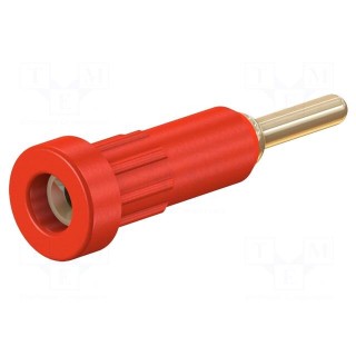 Socket | 2mm banana | 10A | 24.5mm | red | Mounting: push-in,on panel