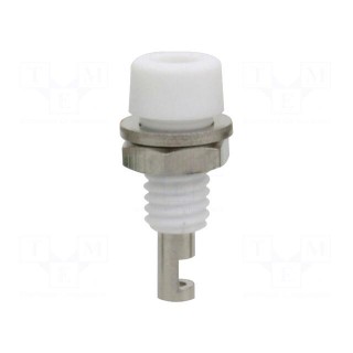 Socket | 2mm banana | 10A | white | on panel,screw | insulated