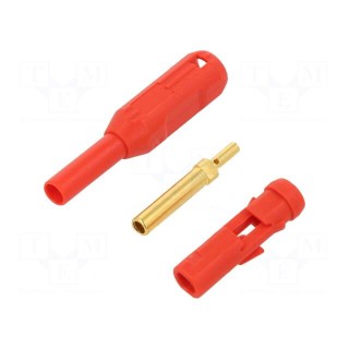 Socket | 2mm banana | 38.2mm | red | soldered,crimped | insulated