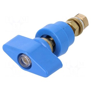 Laboratory clamp | blue | 1kVDC | 100A | on panel,screw | brass | 81mm