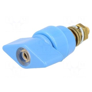 Laboratory clamp | blue | 1kVDC | 63A | on panel,screw | brass