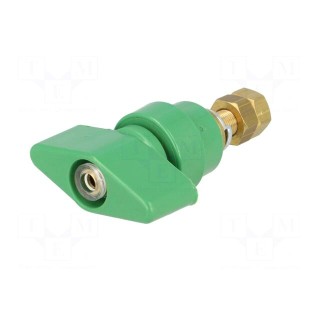 Laboratory clamp | green | 1kVDC | 100A | on panel,screw | brass | 81mm