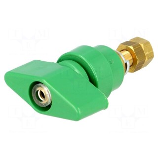 Laboratory clamp | green | 1kVDC | 100A | on panel,screw | brass | 81mm