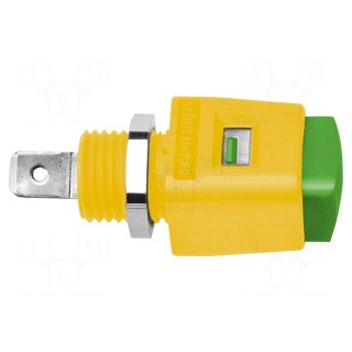 Laboratory clamp | yellow-green | 70VDC | 16A | screw | nickel | 44mm