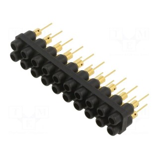 Socket strip | 2mm banana | black | 60VDC | 10A | 30VAC | Sockets: 20