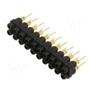 Socket strip | 2mm banana | black | 60VDC | 10A | 30VAC | Sockets: 20 | 6mm