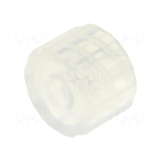 Adapter | transparent | Luer Lock | FIS-560548U-300ML