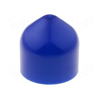 Plunger | 30/55ml | blue | high-viscosity fluids | silicone free