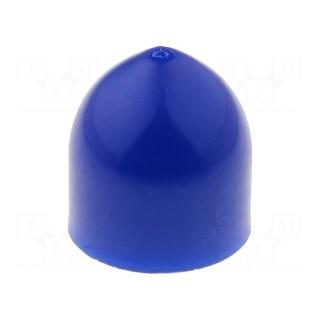 Plunger | 5ml | Colour: blue | Manufacturer series: QuantX