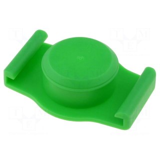 Syringe plug | 30/55ml | Colour: green | Manufacturer series: QuantX